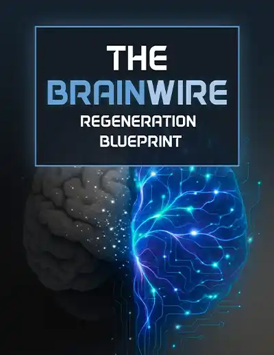 Audifort Bonus Two - The Brainwire Regeneration Blueprint